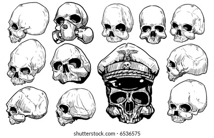 Skulls vector set