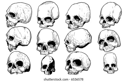 Skulls vector set