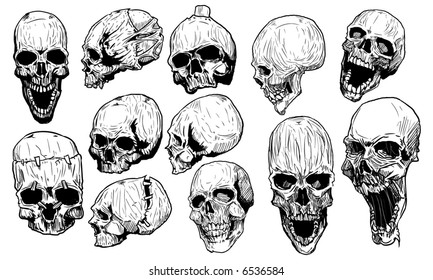 Skulls vector set