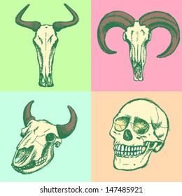 Skulls, vector sketch background