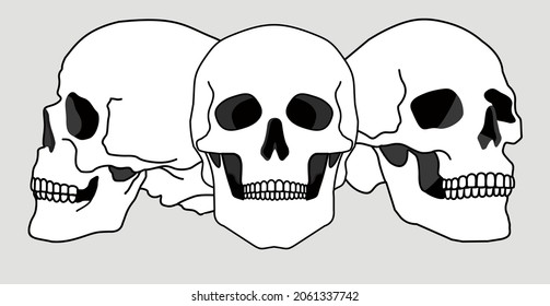 Skulls views. Human skull sides. Humans skulls sketch, smiling mouth death bone. Horror spooky skull front and side view illustrations isolated on background. Skeleton tattoo anatomical face drawings