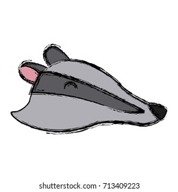 Skunk animal cartoon
