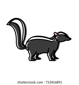 Skunk animal cartoon