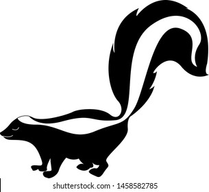 Skunk with big tail, illustration, vector on white background.