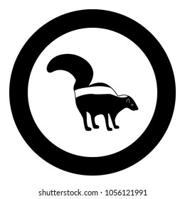 Skunk black icon in circle
