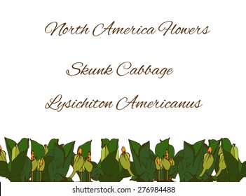 Skunk cabbage, hand drawn, card with sample text. Vector illustration