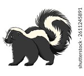 Skunk cartoon, vector illustration, skunk icon isolated on white background.