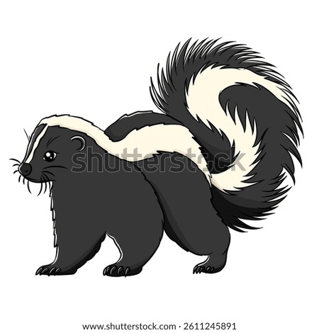 Skunk cartoon, vector illustration, skunk icon isolated on white background.