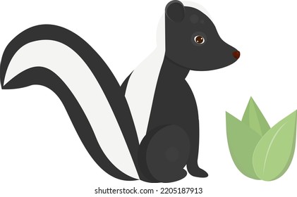 Skunk cub isolated vector illustration for decor