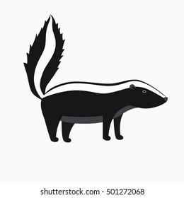 Skunk. Flat cartoon vector illustration, isolate on white background