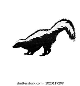 Skunk in flat style isolated on white background. Vector illustration. Forest animal.