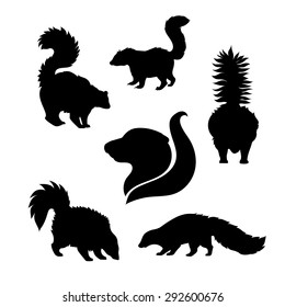 Skunk icons and silhouettes. Set of illustrations in different poses.