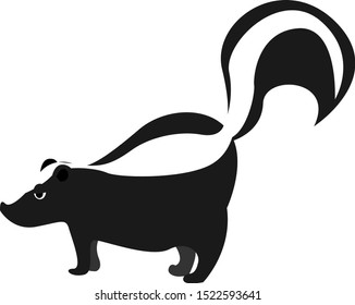 Skunk, illustration, vector on white background.