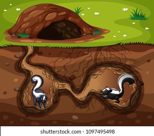 Skunk Living in the Hole illustration