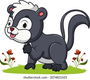 The skunk is sitting on the garden of illustration