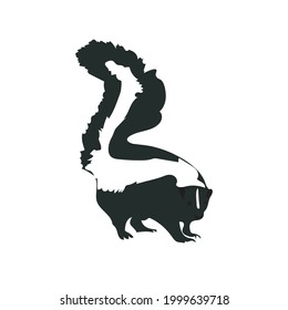 Skunk Vector art isolated on white background