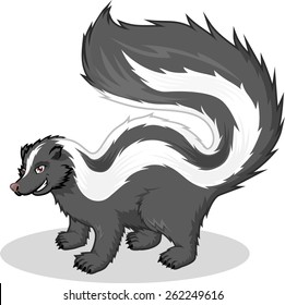 Skunk Vector Cartoon Illustration