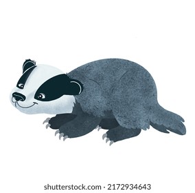 Skunk vector design with white background