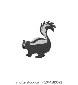 Skunk vector on a white background