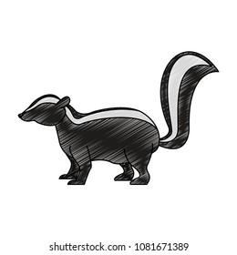 Skunk wild animal scribble