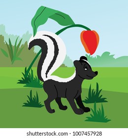 Skunks in nature