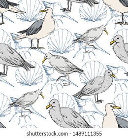 Sky bird seagull in a wildlife. Wild freedom, bird with a flying wings. Black and white engraved ink art. Seamless background pattern. Fabric wallpaper print texture.