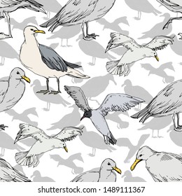 Sky bird seagull in a wildlife. Wild freedom, bird with a flying wings. Black and white engraved ink art. Seamless background pattern. Fabric wallpaper print texture.