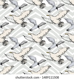 Sky bird seagull in a wildlife. Wild freedom, bird with a flying wings. Black and white engraved ink art. Seamless background pattern. Fabric wallpaper print texture.