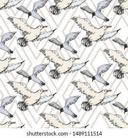 Sky bird seagull in a wildlife. Wild freedom, bird with a flying wings. Black and white engraved ink art. Seamless background pattern. Fabric wallpaper print texture.