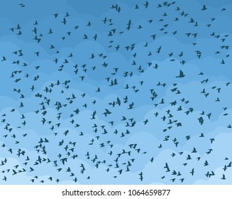 Sky with birds.