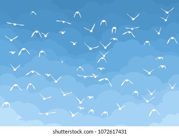 Sky with birds. 