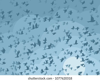 Sky with birds. 