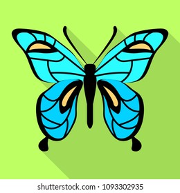Sky blue butterfly icon. Flat illustration of sky blue butterfly vector icon for web design