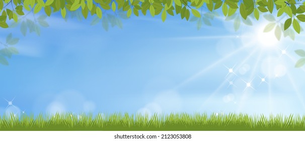 Sky Blue Garden, Cloud Field Background, Forest Sun Over Grass Farm, Beautiful Scenery, Green Outdoor Vector Flower Summer Landscape, Nature Illustration, Seasonal Countryside Banner And Copy Space.