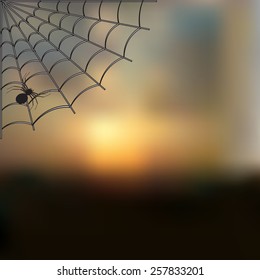 Sky blurred defocused landscape background with cobweb and spider