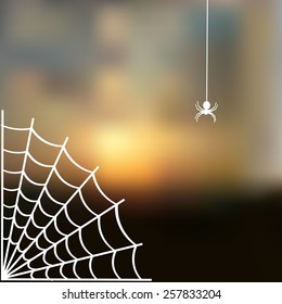 Sky blurred defocused landscape background with cobweb and spider