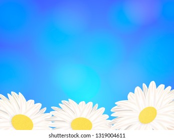 Sky and chamomile. Vector illustration for banner or poster
