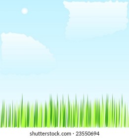 The sky, clouds and a grass, a background