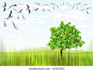 sky clouds grass and birds in flight