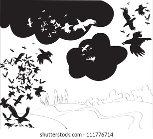 sky crows (birds)