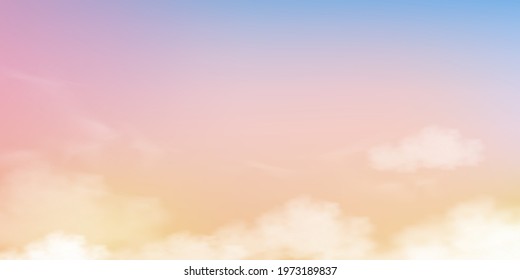 Sky with fluffy clouds in pastel tone light blue, pink and orange colour,Backdrop of Fantasy magical natural sunset sky on Spring, Summer,Autumn, Winter, Vector sweet background for four season banner