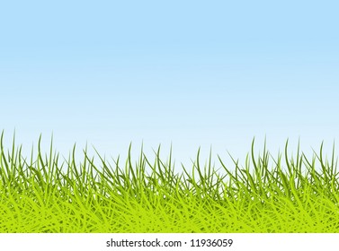Sky and grass background