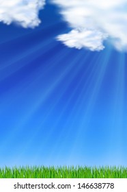 Sky grass,  Landscape With Grass, Vector Illustration 
