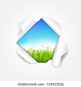 Sky And Grass Torn With Gradient Mesh, Vector Illustration