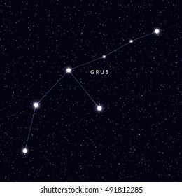 Sky Map with the name of the stars and constellations. Astronomical symbol constellation Grus