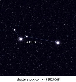 Sky Map with the name of the stars and constellations. Astronomical symbol constellation Apus