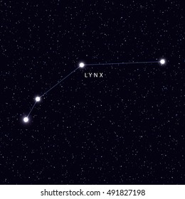 Sky Map with the name of the stars and constellations. Astronomical symbol constellation Lynx