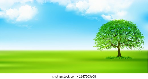 Sky meadow landscape green background