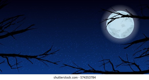 Sky moon trees night. Illustration. Use wallpaper for, the website, smart phone, tablet PC, printing etc