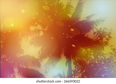 Sky, palm trees, sunset, sun glare. Vector